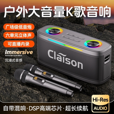CLAISON/柯莱逊户外K歌音响家庭
