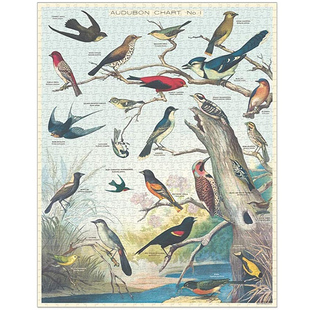 现货美国Cavallini拼图1000片 鸟类图鉴 奥杜邦鸟 美式复古装饰画