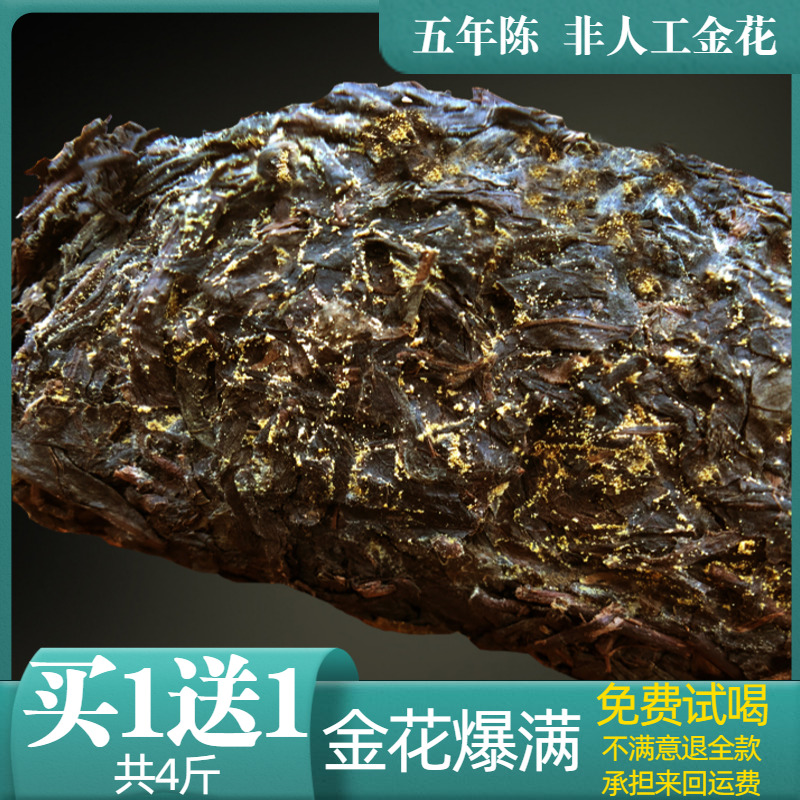 黑茶湖南安化正宗金花茯砖云桐山