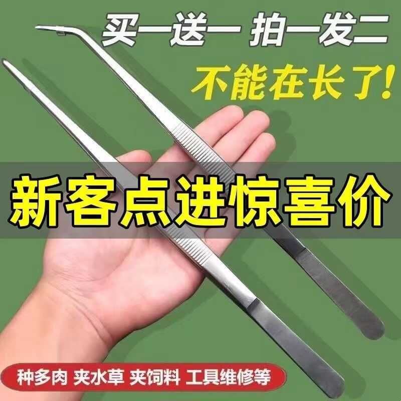 镊子不锈钢圆头弯头加厚不锈钢多肉鱼缸水草工具维修夹子动物喂食