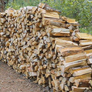 柴火干柴户外篝火烧烤取暖壁炉专用木柴耐烧少烟木柴烧火室外