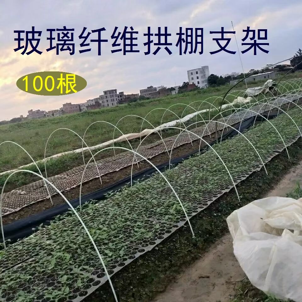 小拱棚支架农用菜棚架子家用庭院种菜大棚新型种蔬菜弹力玻璃钢