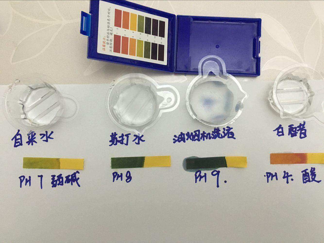 高精度便携式ph计酸碱度ph测试纸唾液检测水族鱼缸ph值测试仪在类目 宠物/宠物食品及用品, 水族世界, 鱼缸等水族设备, pH计中 - 来自Buy2taobao.com提供专业的淘宝代购服务