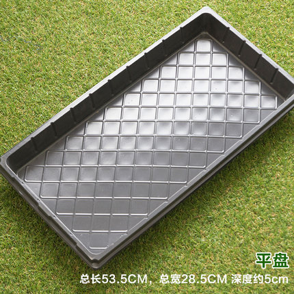平盘育苗盘托盘穴盘无孔托盘芽菜苗盘育苗盘配套托盘长方形通用盘