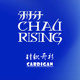授权CHAU.RISING 洲升设计师新品 羊毛羊绒针织防晒衣长袖 正品 开衫
