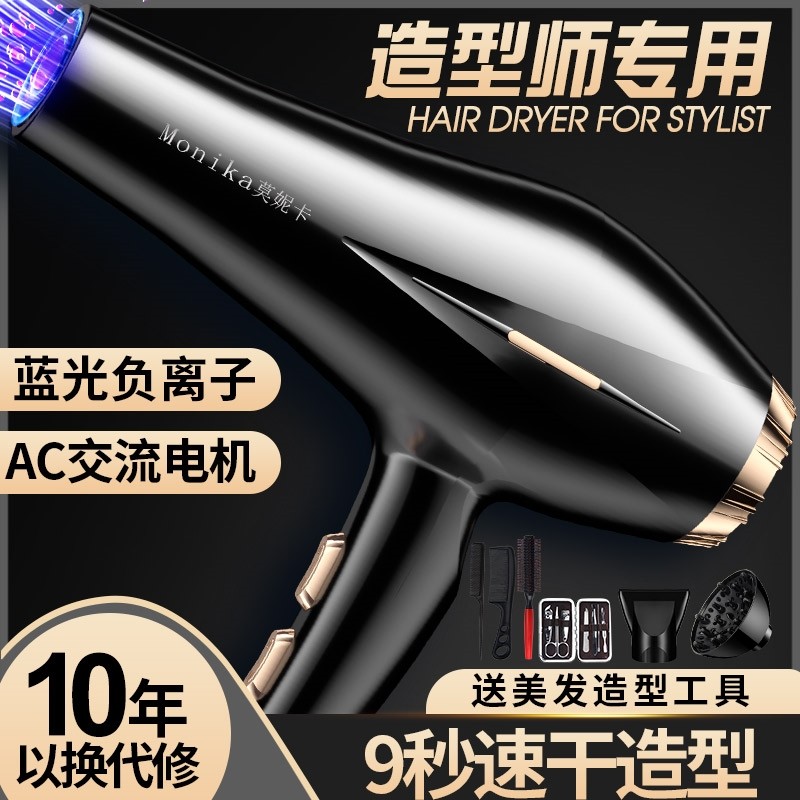 德国电吹风机家用大功率发廊专用风筒理发店蓝光负离子护发速干