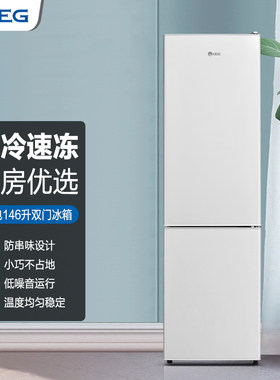 小型租房冰箱公寓两门小冰箱