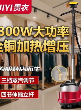贵衣挂烫机家用商用服装店手持烫功率熨斗衣服熨烫机大蒸汽立式大