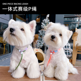 狗狗牵引绳p绳小型犬狗绳绳中型犬项圈p链训狗专用幼犬训练绳赛级