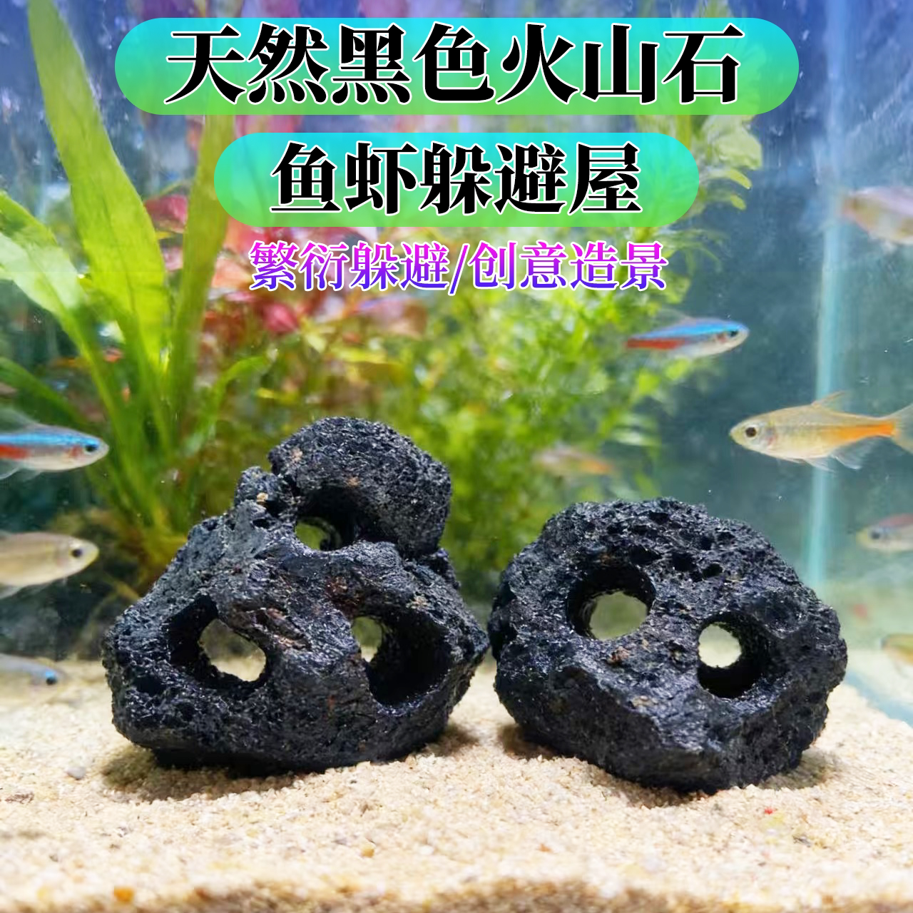 天然黑色火山石鱼虾躲避屋鱼缸观赏虾黑壳虾躲避屋小型产卵繁殖窝