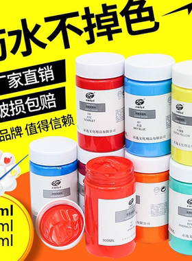 彩逸画材丙烯颜料套装300ml大容量防水不掉色室外墙绘涂鸦画鞋衣