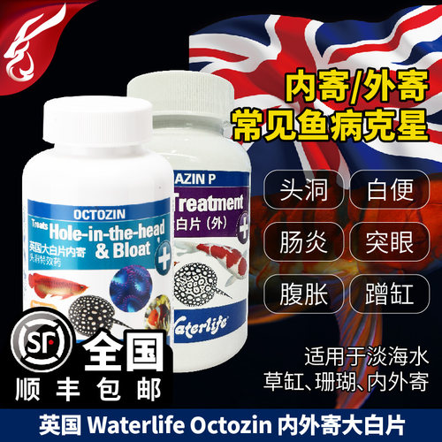 英国waterlife内外寄大白片顺丰