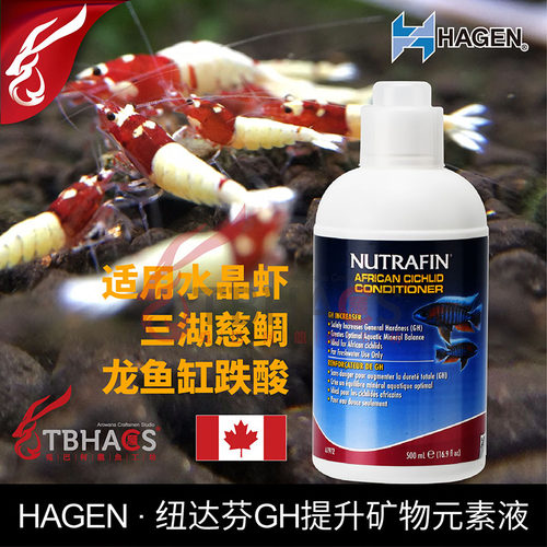 加拿大纽达芬hagen矿物质水晶虾