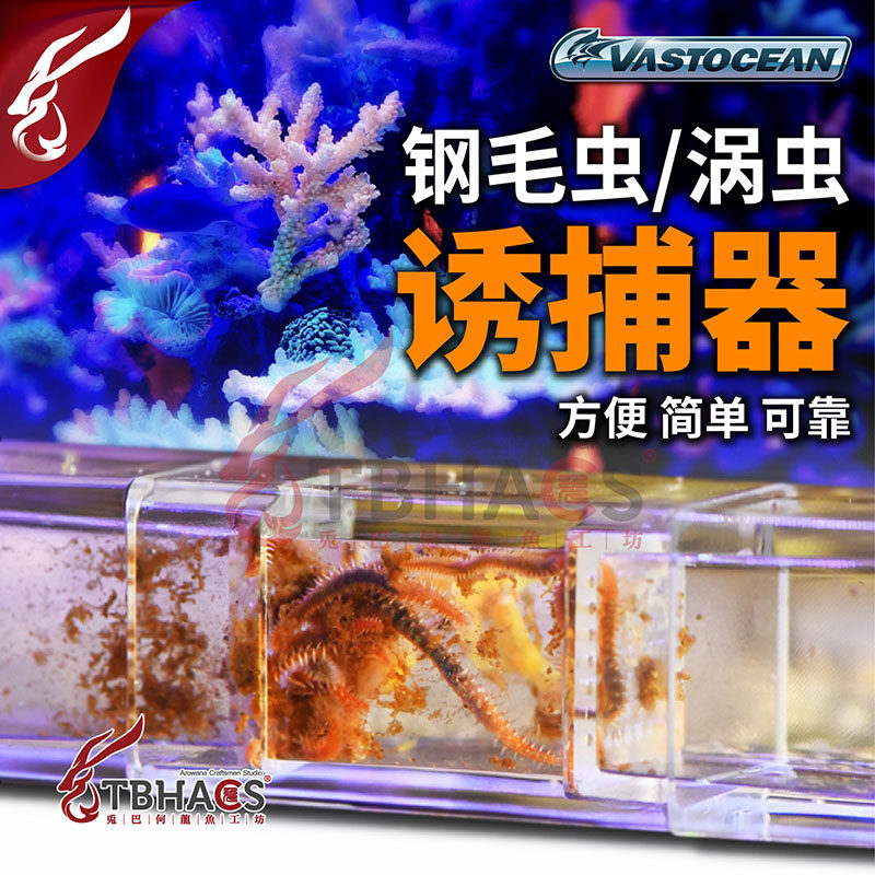 vo涡虫诱捕器海缸钢毛虫捕捉器淡海水鱼缸亚力克捉虫器不伤鱼虾