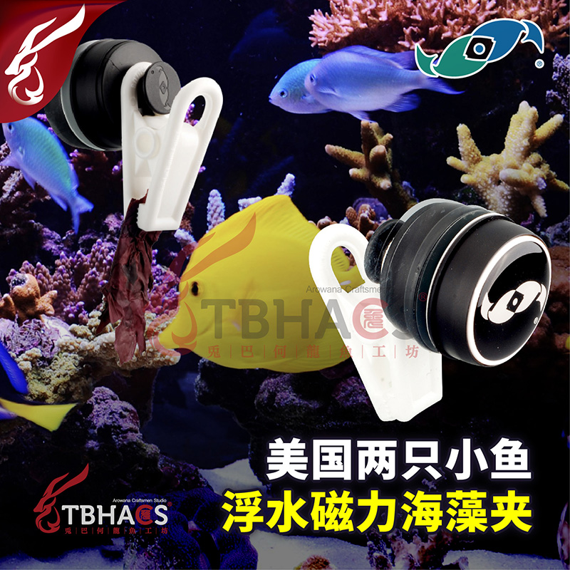 美国两只小鱼磁力海藻夹