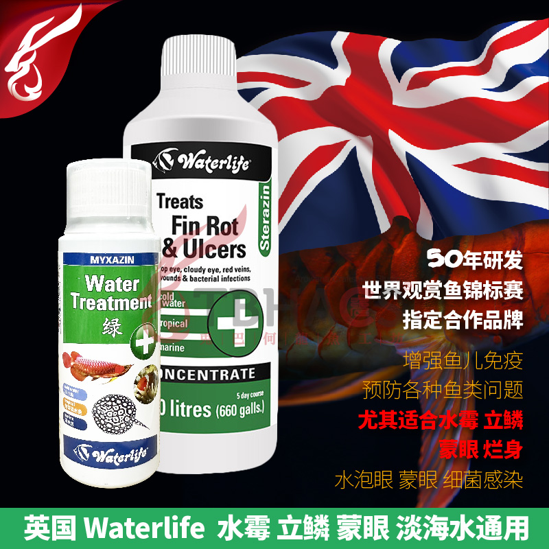 英国进口Waterlife杀菌水立鳞水霉蒙眼烂身肉充血真菌感染淡海水