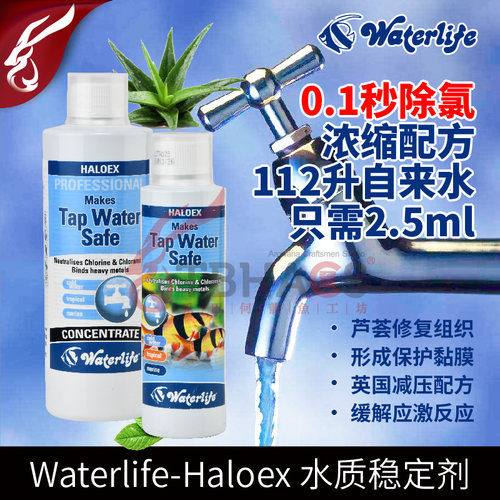 超浓缩配方进口性价比王者