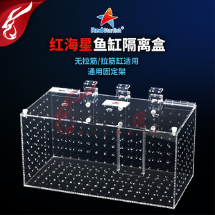 红海星鱼缸隔离盒内置置物盒防打架亚克力训食盒淡海水通用孵化盒