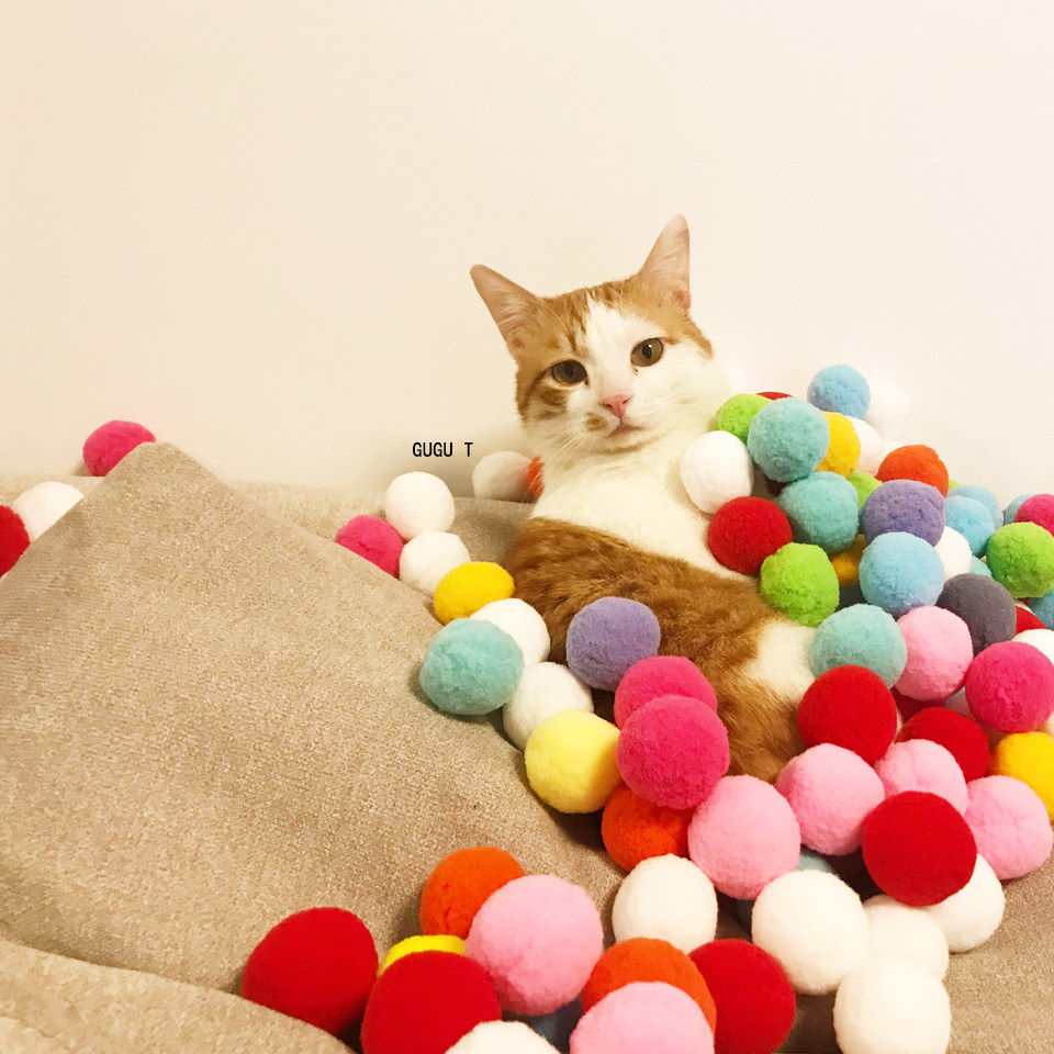 猫玩具猫咪毛球逗猫棒宠物互动玩具球形玩具吸猫球球猫咪静音玩具