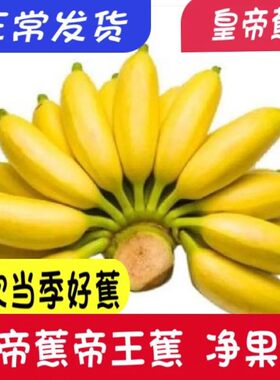 广西种植户【皇帝蕉】正宗帝王蕉小香蕉纯甜好吃青蕉发货冬天偏小