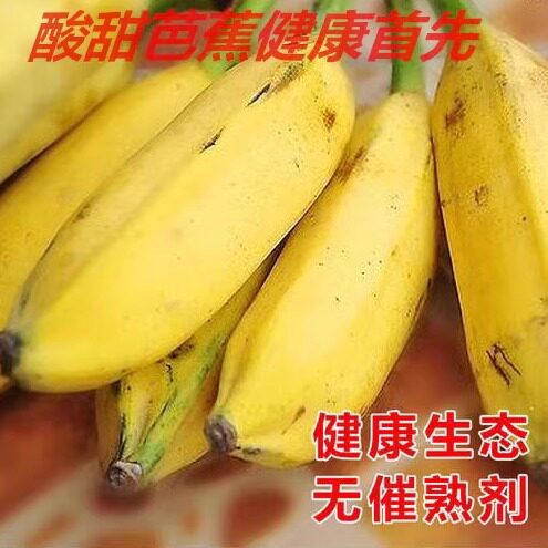芭蕉牛角蕉香蕉新鲜水果