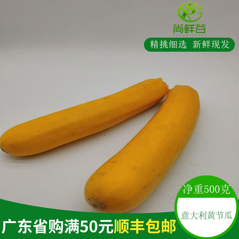 新鲜意大利黄瓜 意大利瓜 西葫芦 意黄瓜 黄节瓜500g