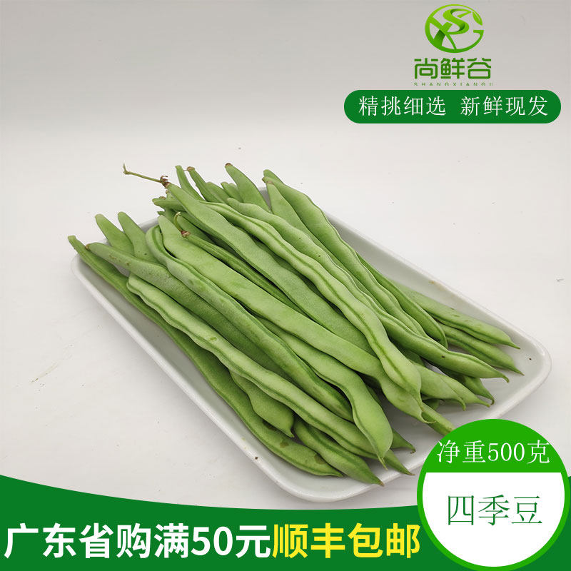 新鲜蔬菜 农家菜 肉豆 四季豆 玉豆500克菜豆,芸扁豆,四月豆