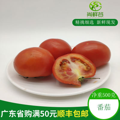 新鲜蔬菜 西红柿 红番茄 普通番茄 生吃沙拉 每斤只要8.8元