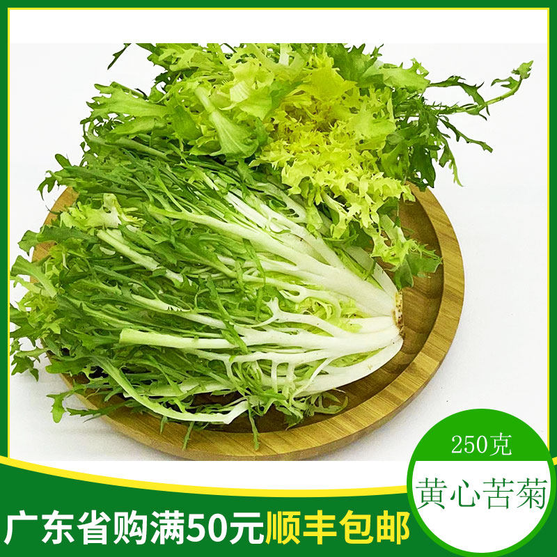 新鲜黄心九牙 苦菊心 黄狗芽 黄苦苣 沙拉凉拌西餐健康食材250g