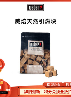 Weber威焙碳炉固体木炭引燃块野外烧烤用品烧烤助燃块点炭工具