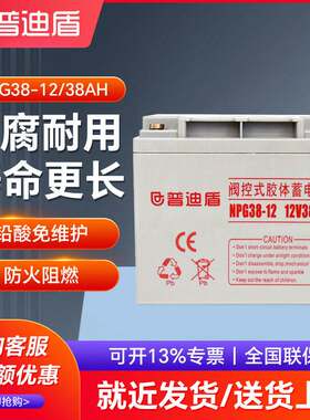普迪盾12V38AH蓄电池UPS/EPS直流屏专用免维护铅酸蓄电池NPG38-12