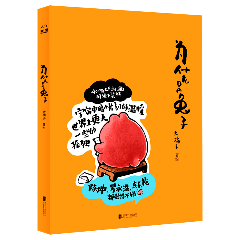 为什么是兔子 大橘子 宇宙中略小片刻的温暖 艺术绘画绘本手绘治愈系插画 北京联合出版社 正版全新图书