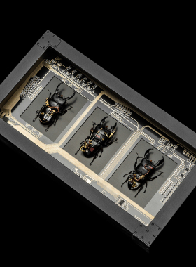 纯手工艺术品金属昆虫标本