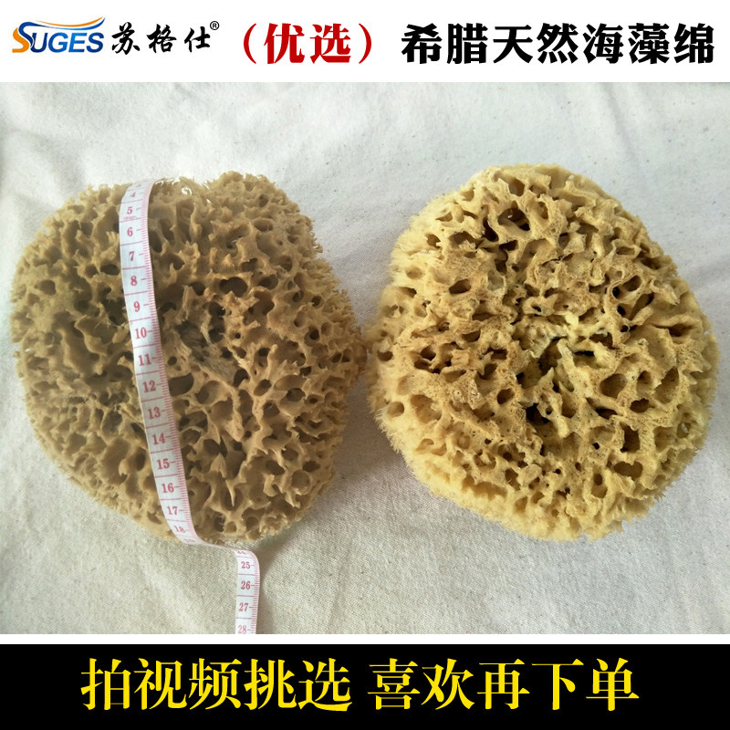 优选精选希腊天然海绵海藻棉幻彩漆三色珠光漆艺术涂料工具海藻绵