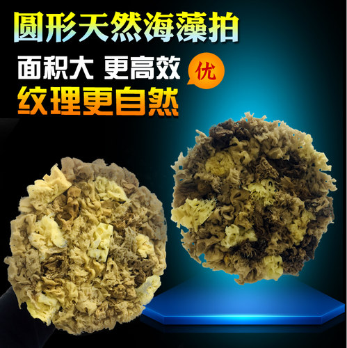 圆形天然海藻棉拍艺术漆印花工具