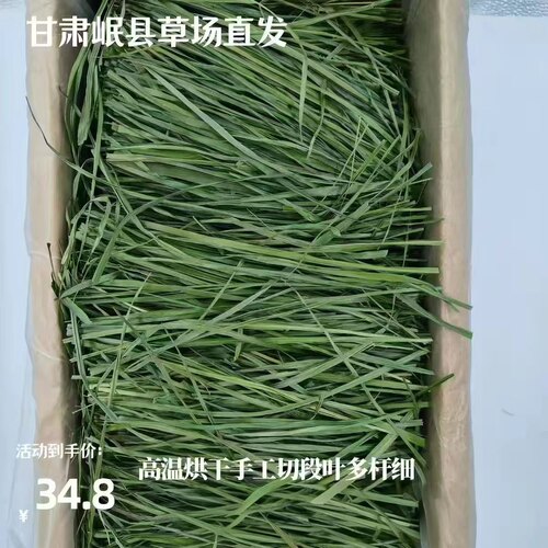 25烘干头茬箱装提摩西草一箱包邮
