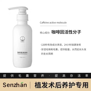 森盏植发术后控油止痒营养洗发水  脂溢性头发油性头发专用洗发露