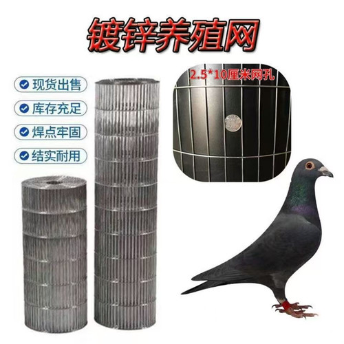 镀锌铁丝网鸟笼diy养鸡围栏防护网兔笼鹦鹉铁丝网鹌鹑笼电焊网格