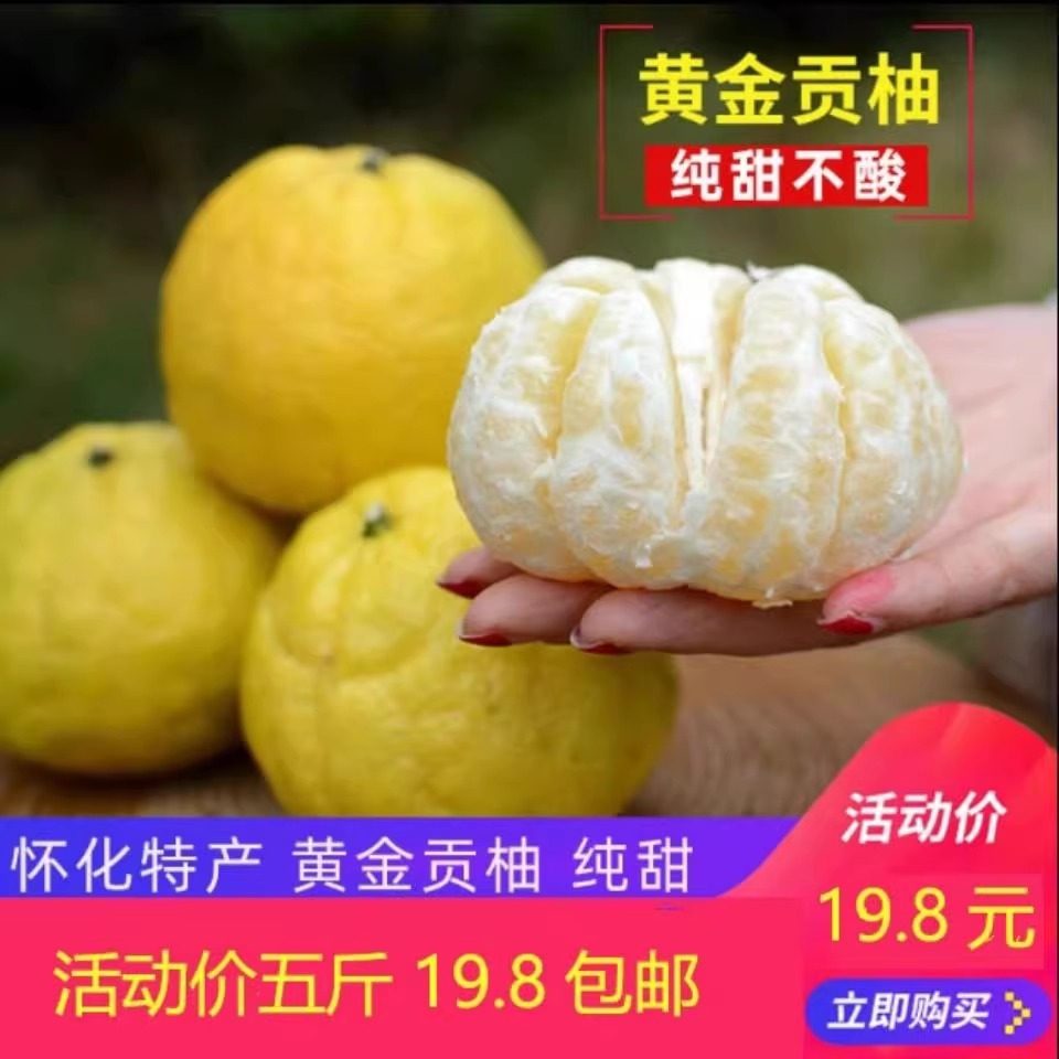 湖南怀化黄金贡柚象山青小柚子纯甜10斤包邮