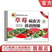 杀虫 彩印 全彩版 农业技能培训教材 实用技术图书 经典 病害治疗 田间诊断口袋书 杨雷 草莓病虫害诊治图册 官网正版