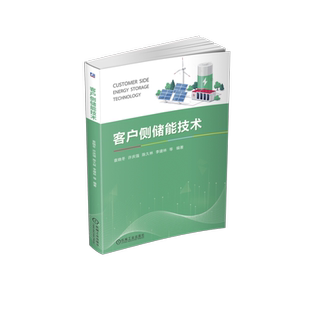 官网正版 客户侧储能技术 袁晓冬 许庆强 陈久林 李建林 分布式储能 电池管理系统 储能变流器 系统接口 储能电站并网