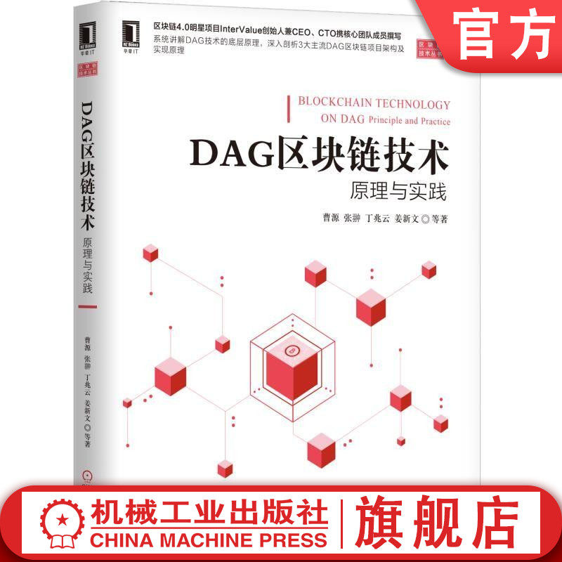 DAG区块链技术:原理与实践 曹源 张翀 丁兆云 马行空等 区块链技术丛书机械工业出版社