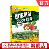 农业种植致富直通车 育苗管理 机械工业出版 棚室草莓高效栽培 社旗舰店 技能培训教材 路河 实用技术图书 官网正版 经典