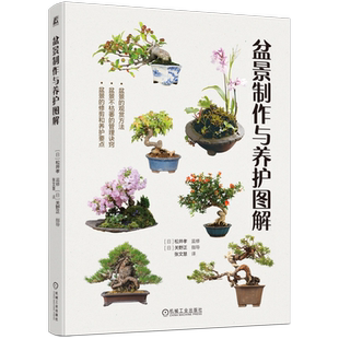 官网正版 盆景制作与养护图解 松井孝 乐趣 看点 观赏要点 松柏 黑松 东北红豆杉 日本柳杉 榉树 槭树 野山楂 日本紫茎 树形