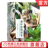 绿植 养护 栽培 官网正版 机械工业出版 帕瓦蓬·苏班南塔 9787111760894 社 观叶植物图鉴：500种室内绿植养护指南