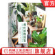 观叶植物图鉴：500种室内绿植养护指南 机械工业出版 帕瓦蓬·苏班南塔 养护 官网正版 9787111760894 绿植 栽培 社