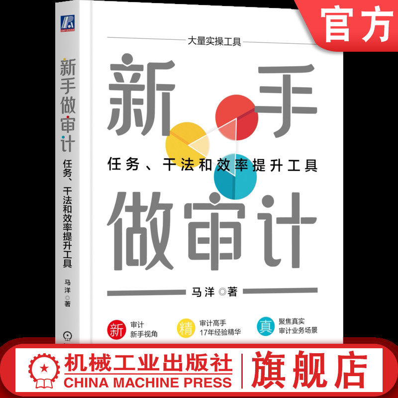 官网正版 新手做审计：任务、干法和效率提升工具 马洋  审计实务工具书 审计 会计 报表 年报 底稿 风险 工作底稿 模板 机械工业