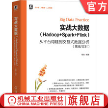 官网正版 实战大数据 Hadoop+Spark+Flink 从平台构建到交互式数据分析 离线/实时 杨俊 附赠30G教学视频