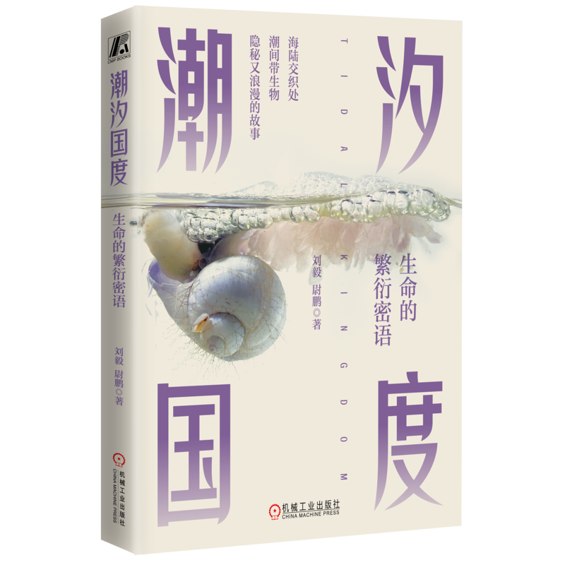 潮汐国度机械工业出版社