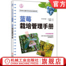 耐寒性 石川骏二 小池洋男 有机物覆盖 官网正版 蓝莓栽培管理手册 灌溉 酸性土壤 整枝修剪 育苗方法 纤维根 落叶果树 育种